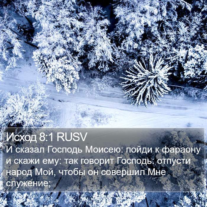 Исход 8:1 RUSV Bible Study