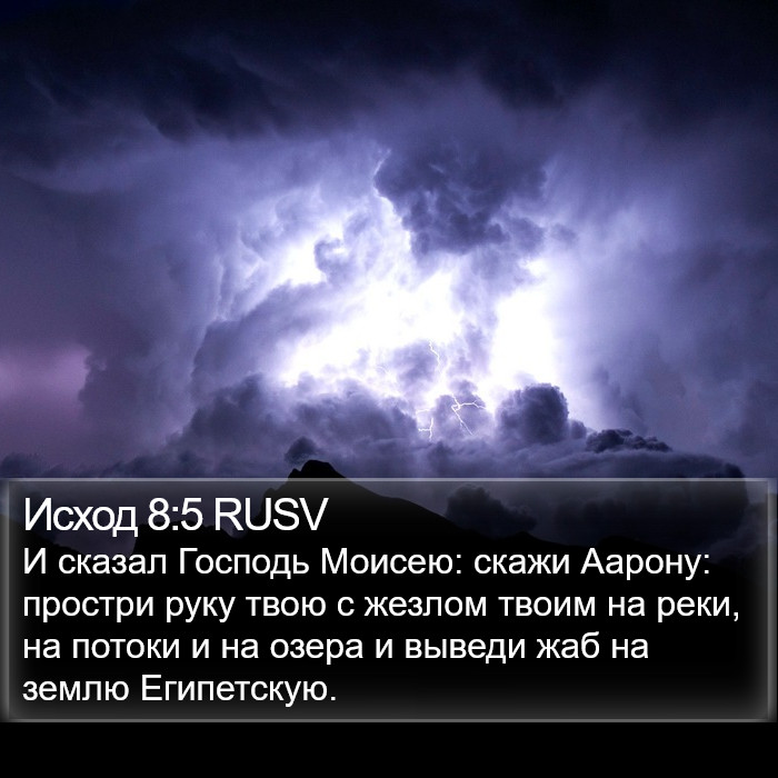 Исход 8:5 RUSV Bible Study