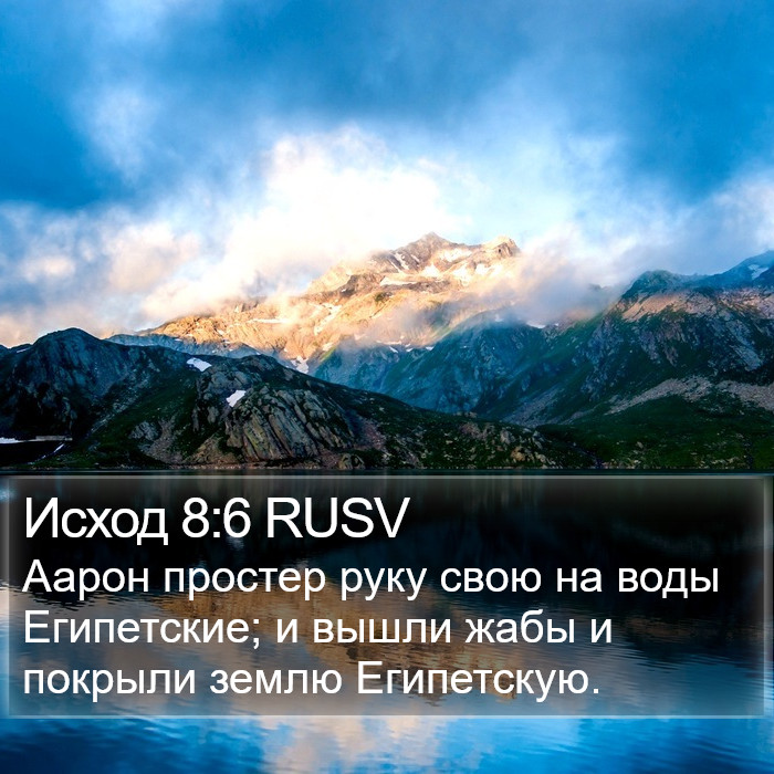 Исход 8:6 RUSV Bible Study