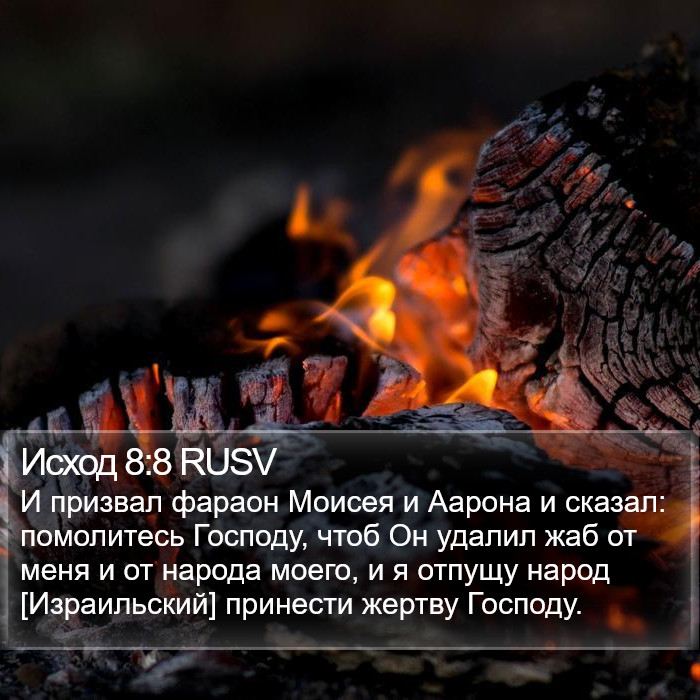 Исход 8:8 RUSV Bible Study