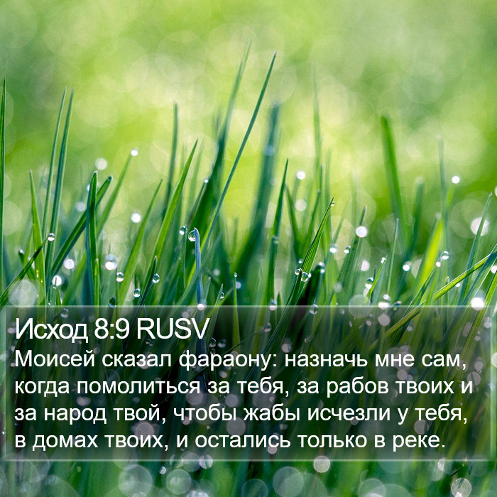 Исход 8:9 RUSV Bible Study