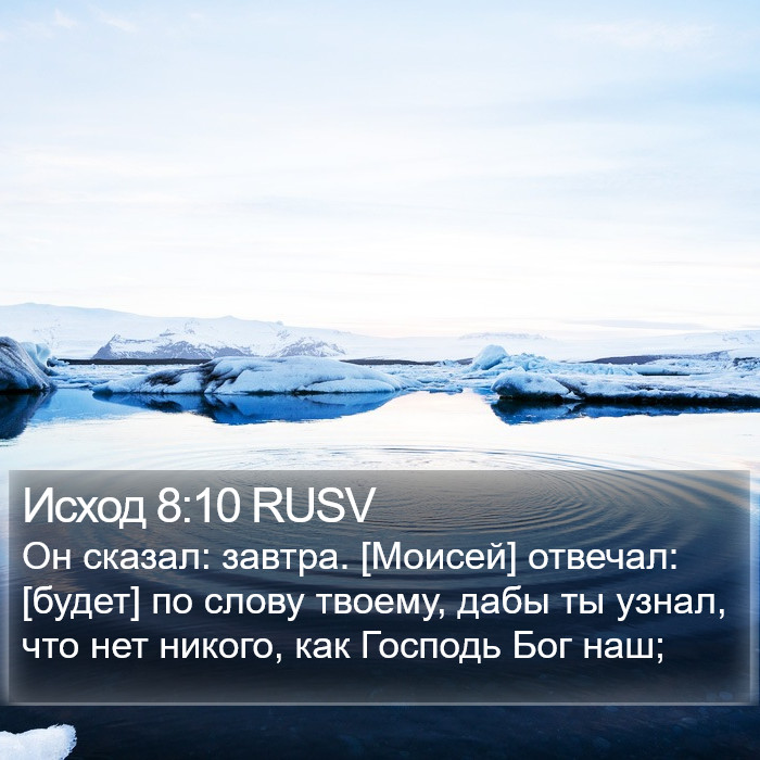 Исход 8:10 RUSV Bible Study