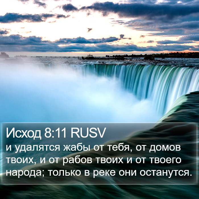 Исход 8:11 RUSV Bible Study