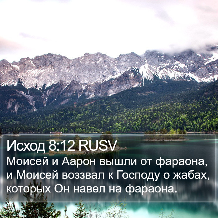 Исход 8:12 RUSV Bible Study