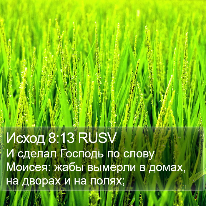 Исход 8:13 RUSV Bible Study