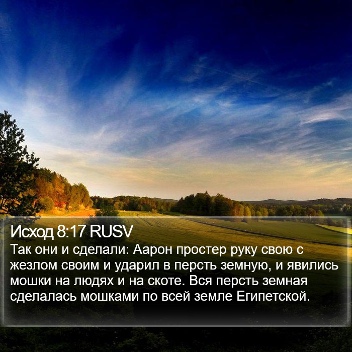 Исход 8:17 RUSV Bible Study