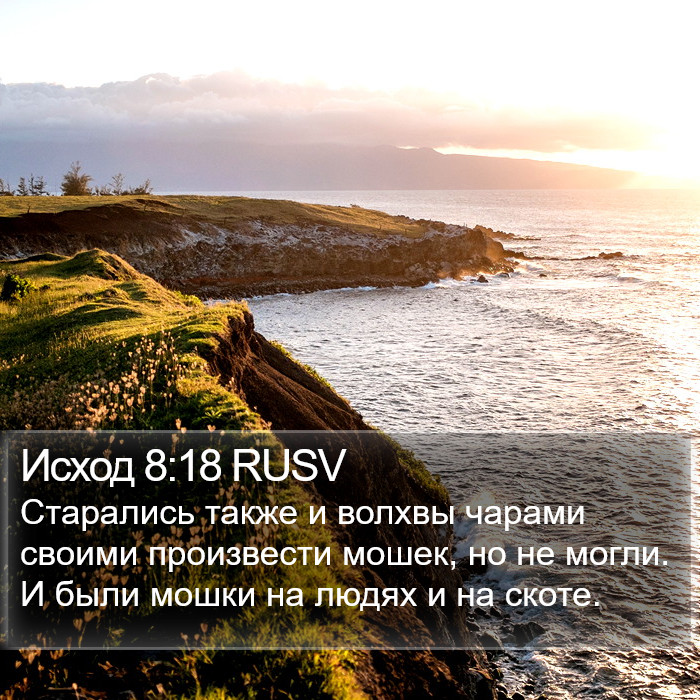 Исход 8:18 RUSV Bible Study