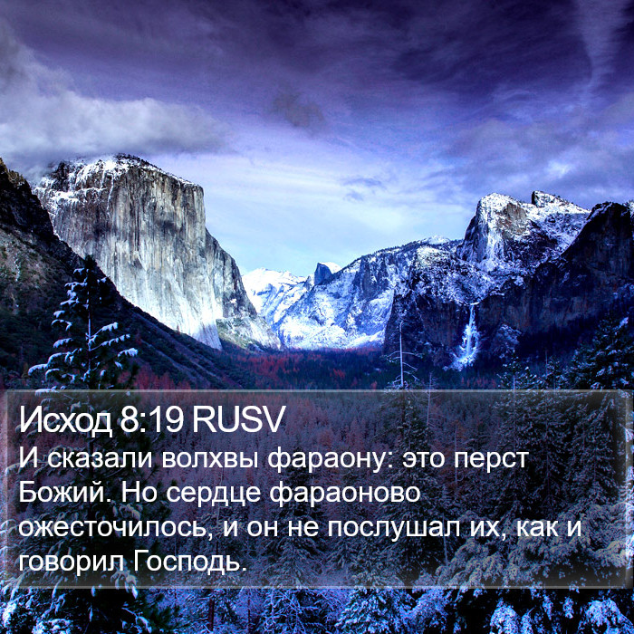 Исход 8:19 RUSV Bible Study