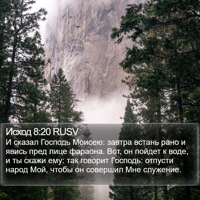 Исход 8:20 RUSV Bible Study