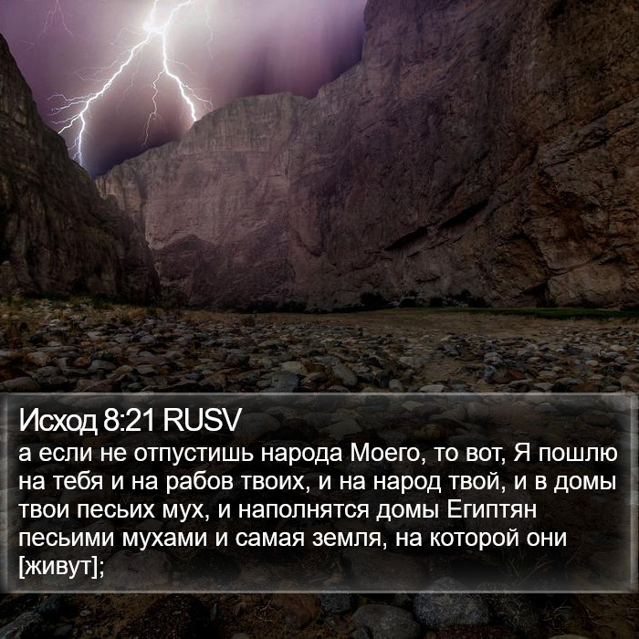 Исход 8:21 RUSV Bible Study