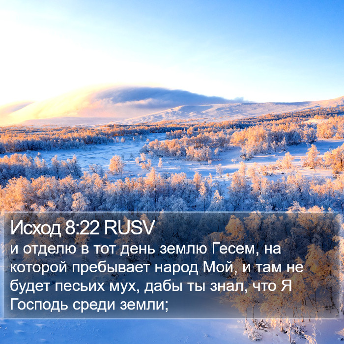 Исход 8:22 RUSV Bible Study