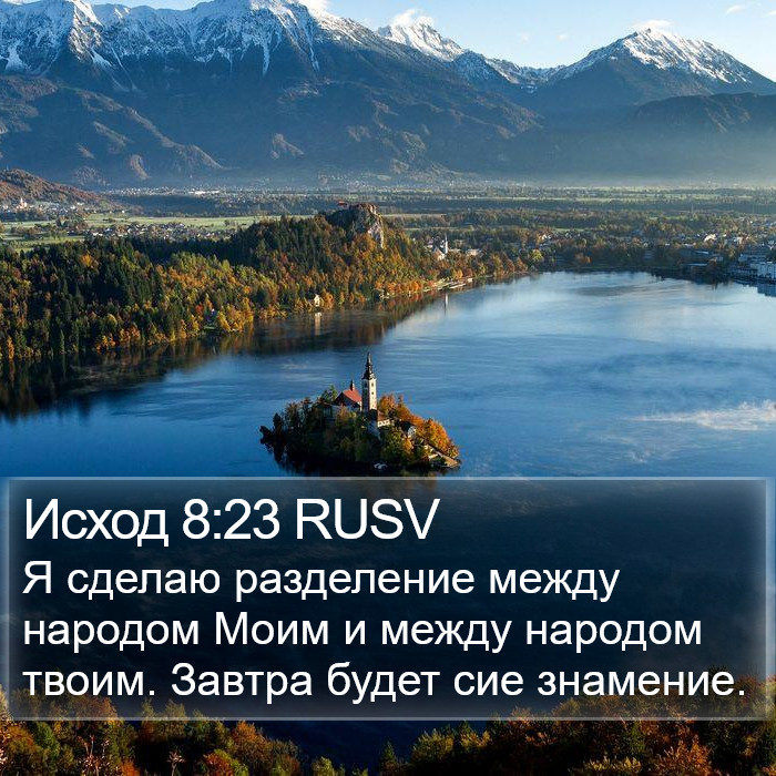 Исход 8:23 RUSV Bible Study