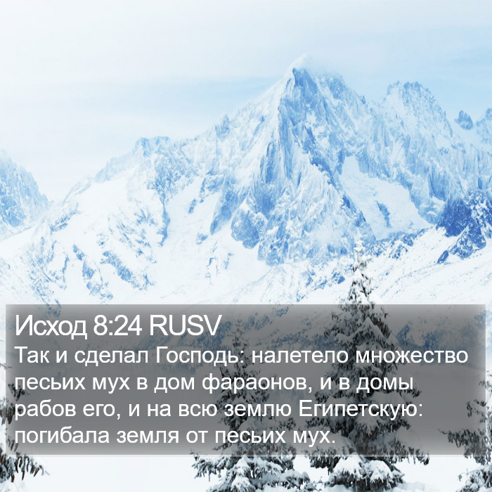 Исход 8:24 RUSV Bible Study