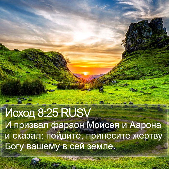 Исход 8:25 RUSV Bible Study