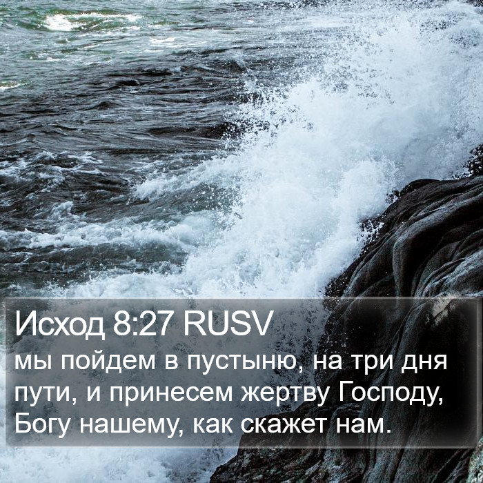 Исход 8:27 RUSV Bible Study