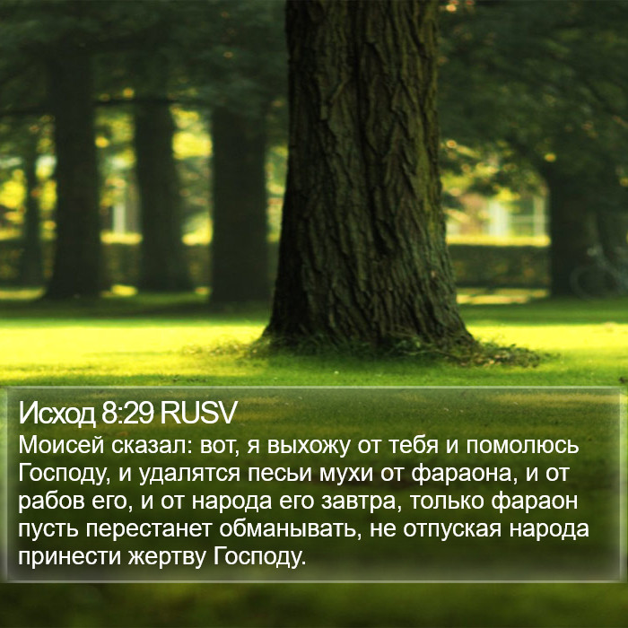 Исход 8:29 RUSV Bible Study