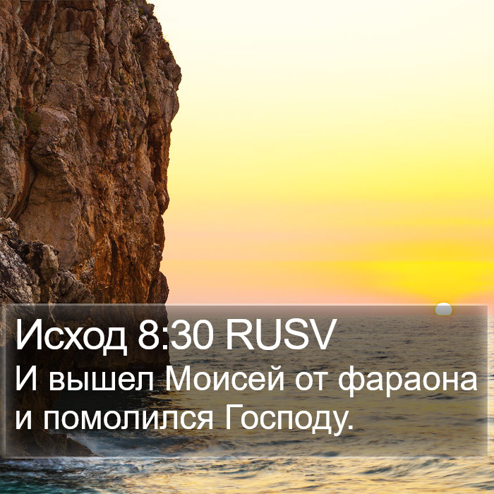 Исход 8:30 RUSV Bible Study