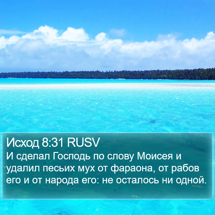 Исход 8:31 RUSV Bible Study