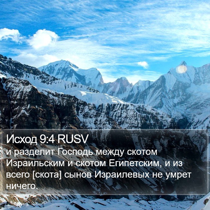 Исход 9:4 RUSV Bible Study