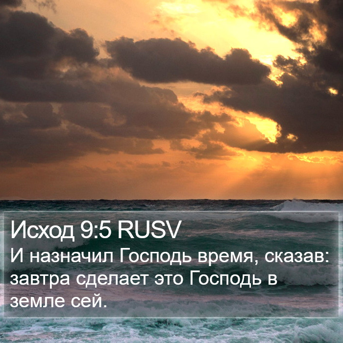 Исход 9:5 RUSV Bible Study