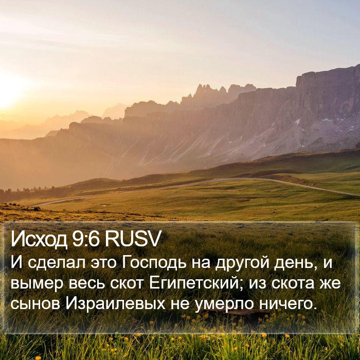 Исход 9:6 RUSV Bible Study