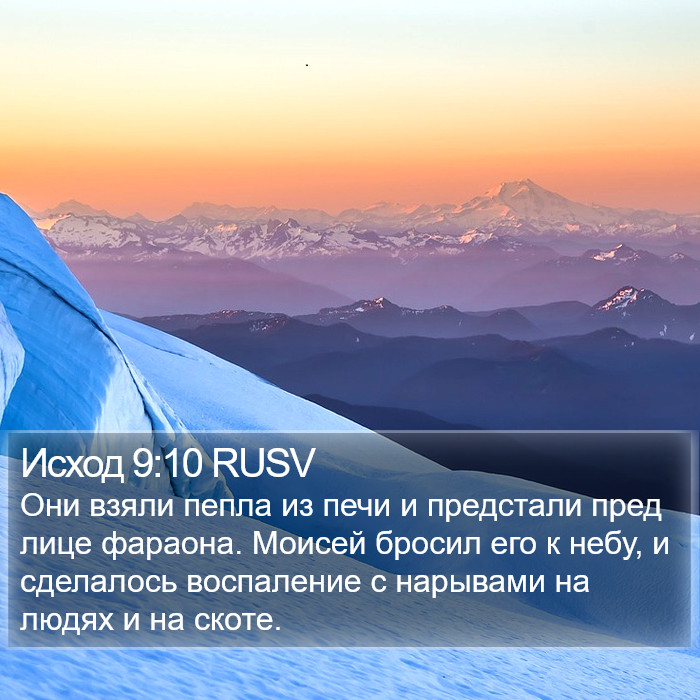 Исход 9:10 RUSV Bible Study