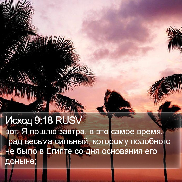 Исход 9:18 RUSV Bible Study