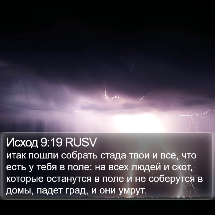 Исход 9:19 RUSV Bible Study