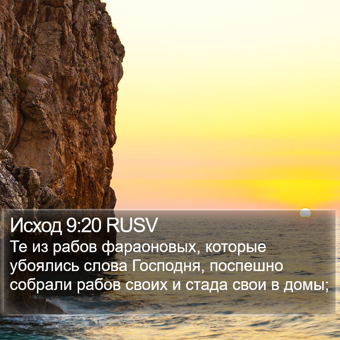 Исход 9:20 RUSV Bible Study