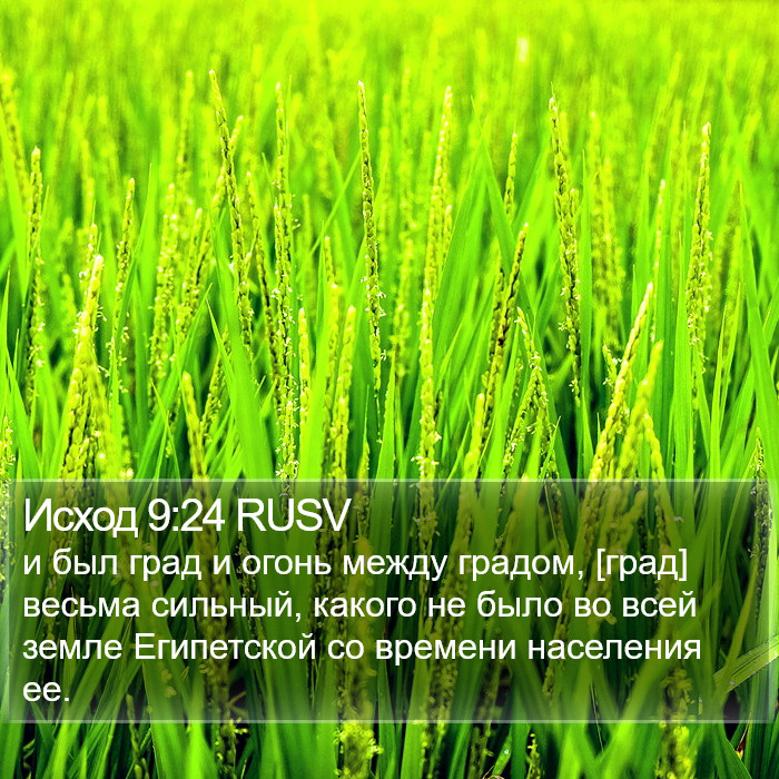 Исход 9:24 RUSV Bible Study