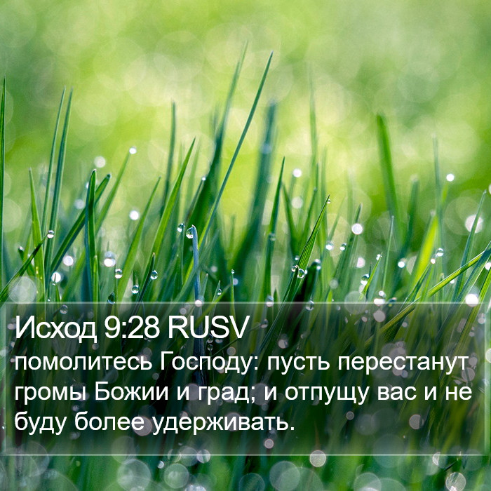 Исход 9:28 RUSV Bible Study