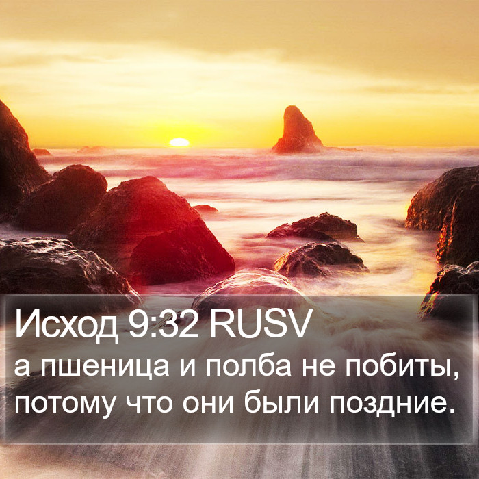 Исход 9:32 RUSV Bible Study