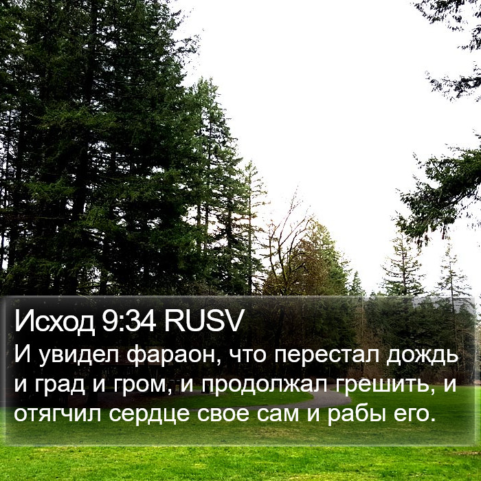 Исход 9:34 RUSV Bible Study