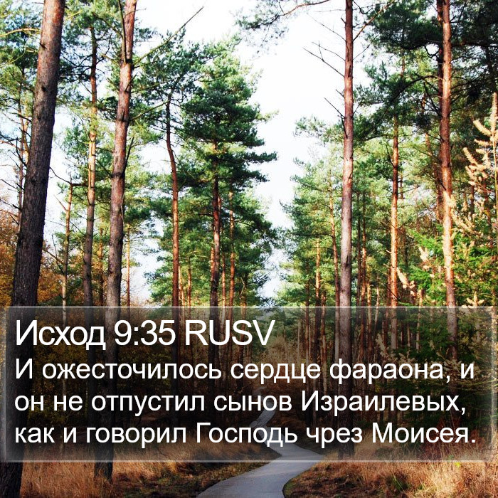 Исход 9:35 RUSV Bible Study