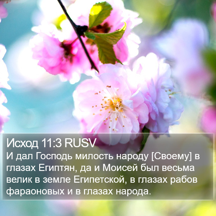 Исход 11:3 RUSV Bible Study