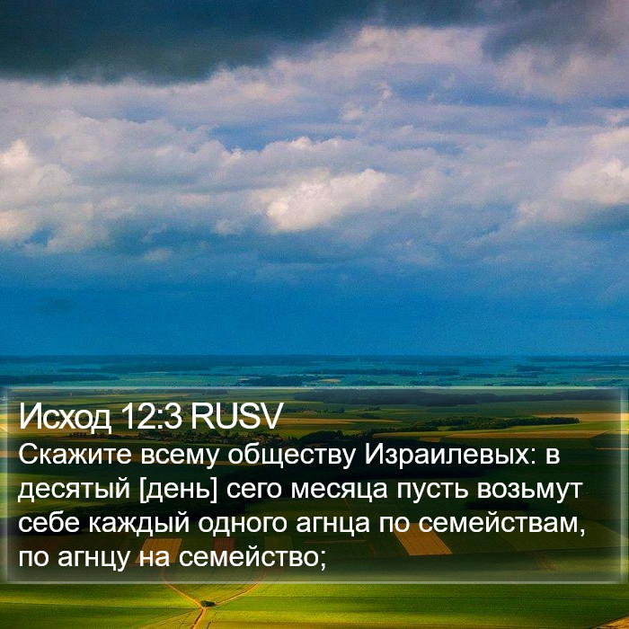Исход 12:3 RUSV Bible Study