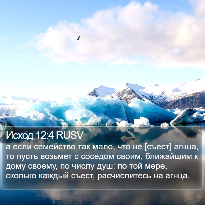 Исход 12:4 RUSV Bible Study