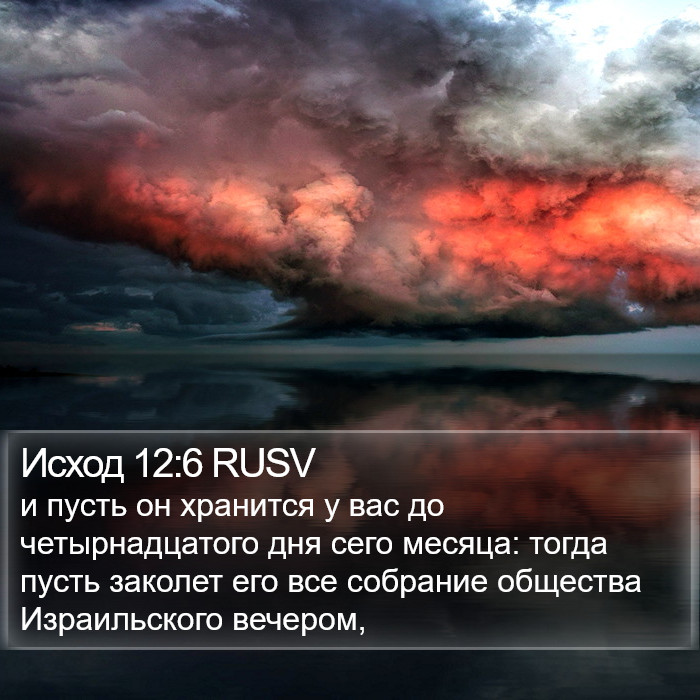 Исход 12:6 RUSV Bible Study
