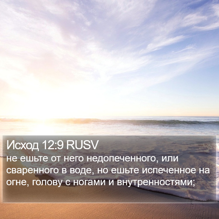 Исход 12:9 RUSV Bible Study