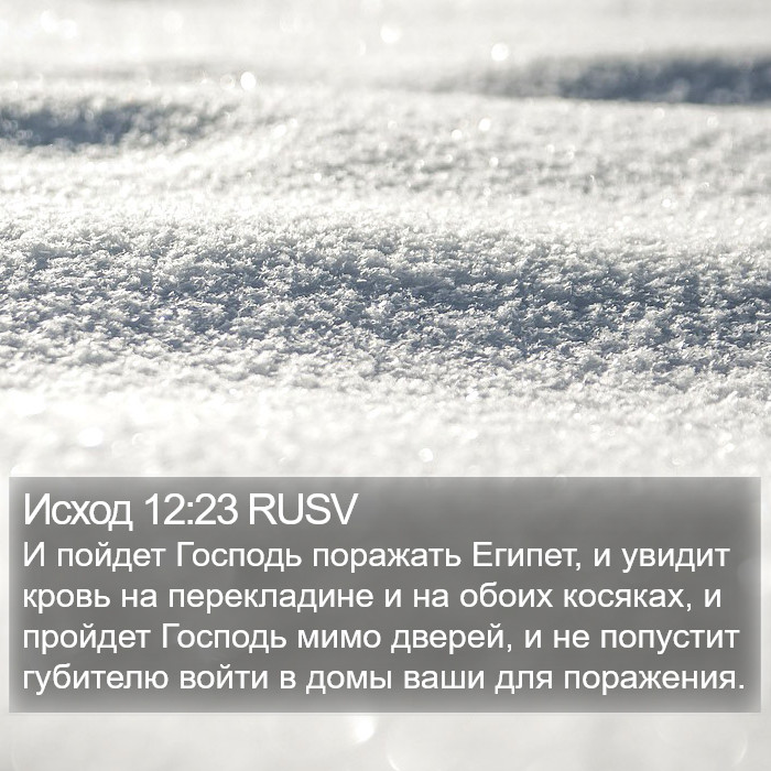Исход 12:23 RUSV Bible Study