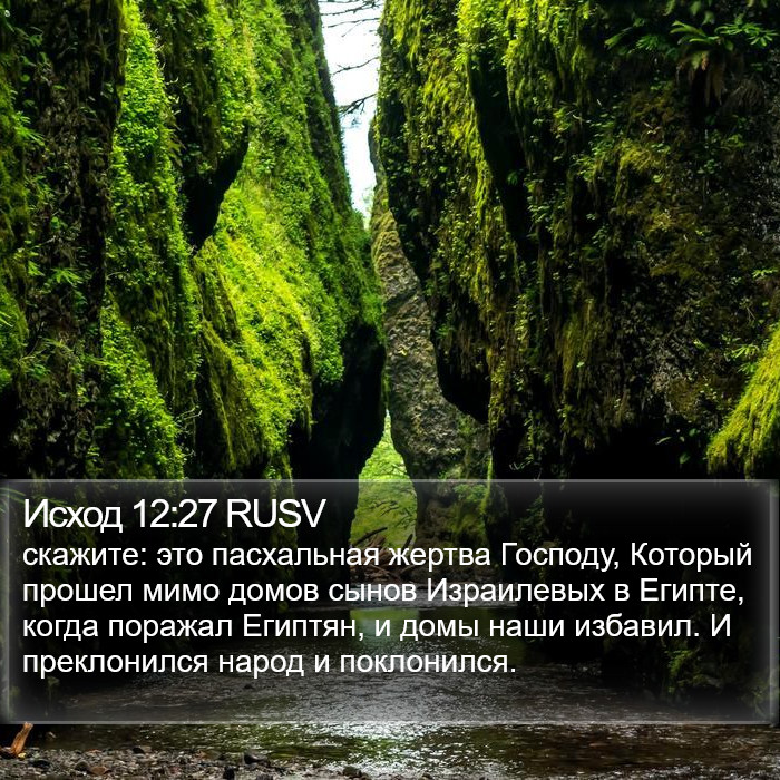 Исход 12:27 RUSV Bible Study