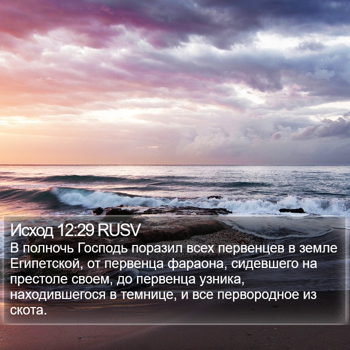 Исход 12:29 RUSV Bible Study