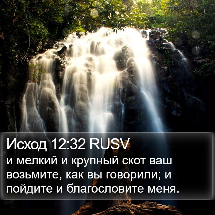 Исход 12:32 RUSV Bible Study