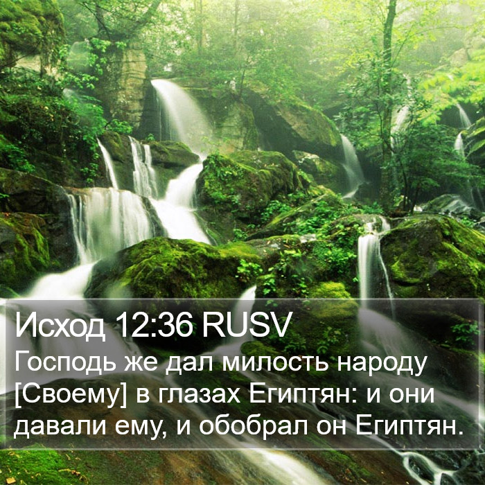 Исход 12:36 RUSV Bible Study