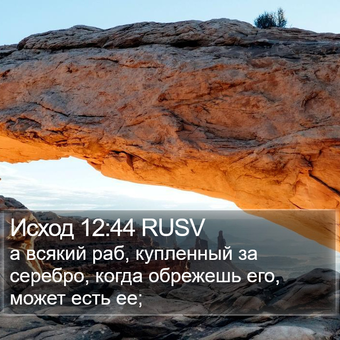 Исход 12:44 RUSV Bible Study