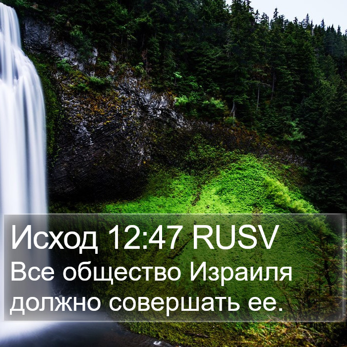 Исход 12:47 RUSV Bible Study