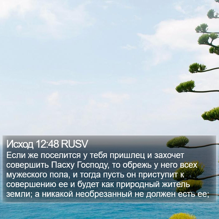 Исход 12:48 RUSV Bible Study