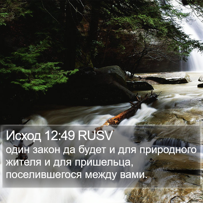 Исход 12:49 RUSV Bible Study