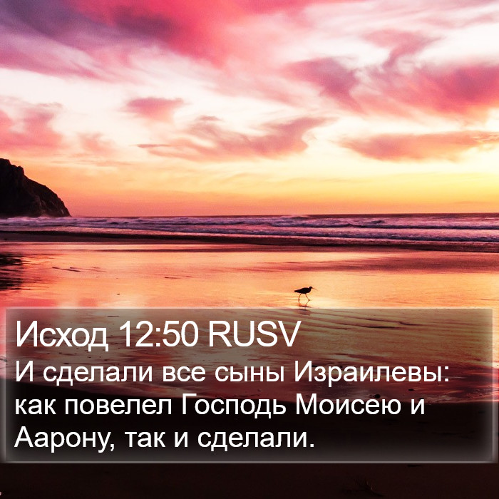 Исход 12:50 RUSV Bible Study