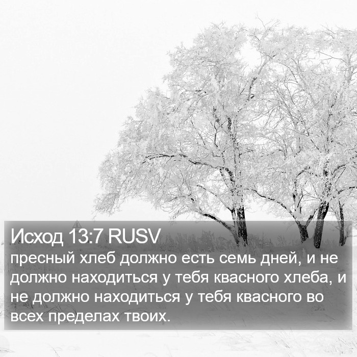 Исход 13:7 RUSV Bible Study